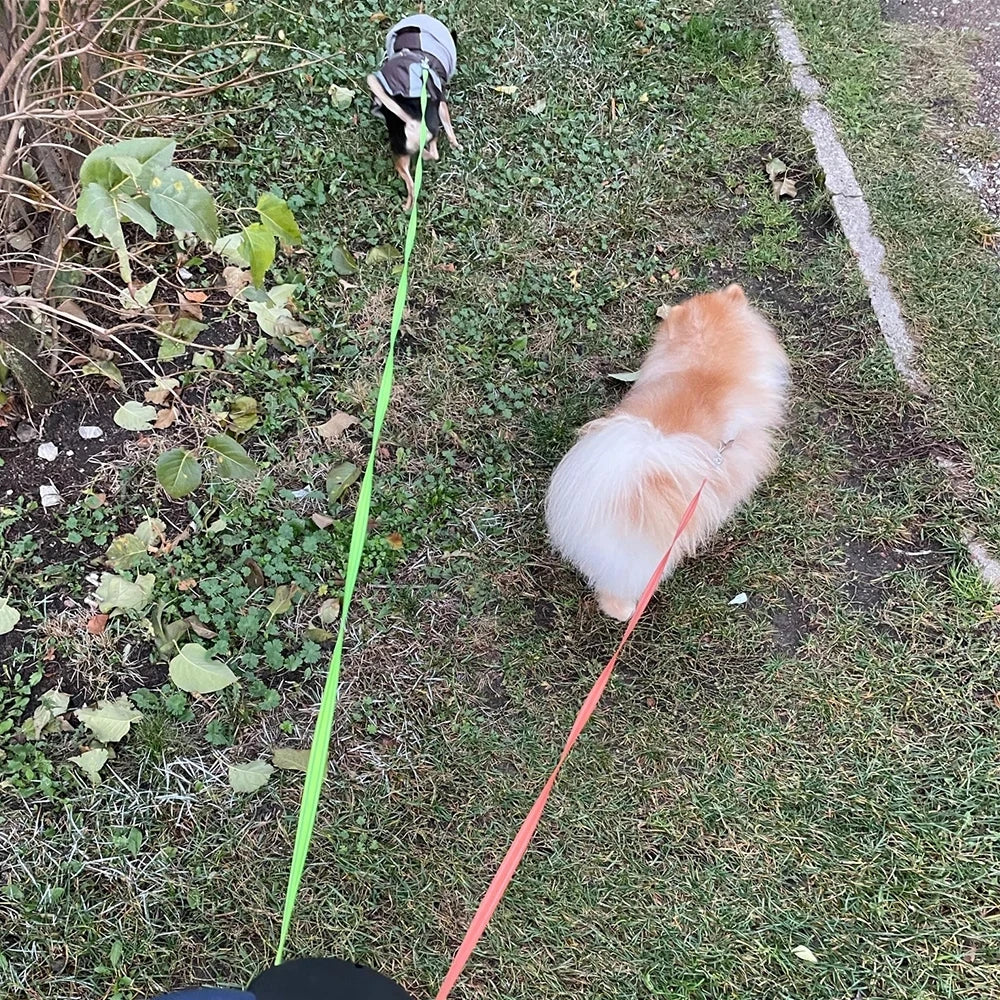 Double Dog Leash Retractable and Rotating Light Strings